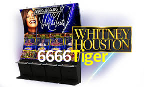 6666Tiger: A Experiência de Casino com Jogos de Mesa ao Vivo